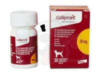 Галлипрант (Galliprant/Grapiprant) 20 мг